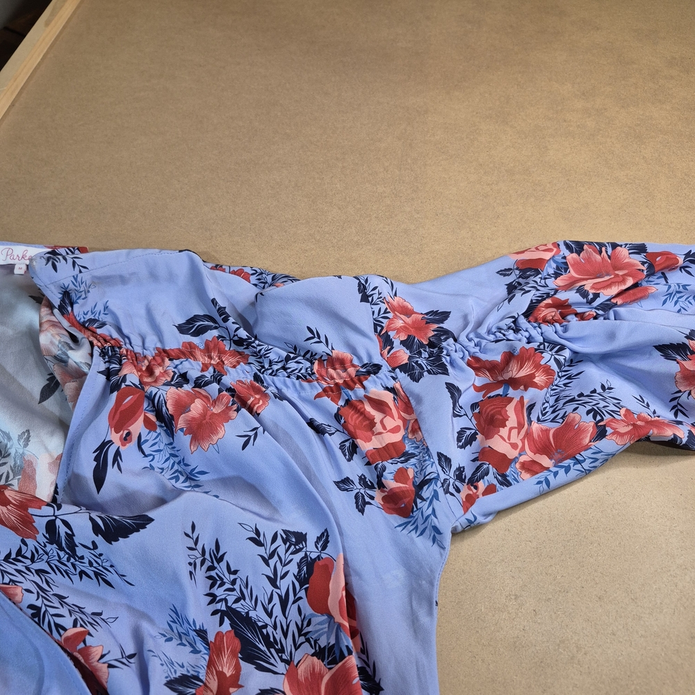 Parker Light Blue and Red Floral Silk Maxi Dress - Picture 11 of 11